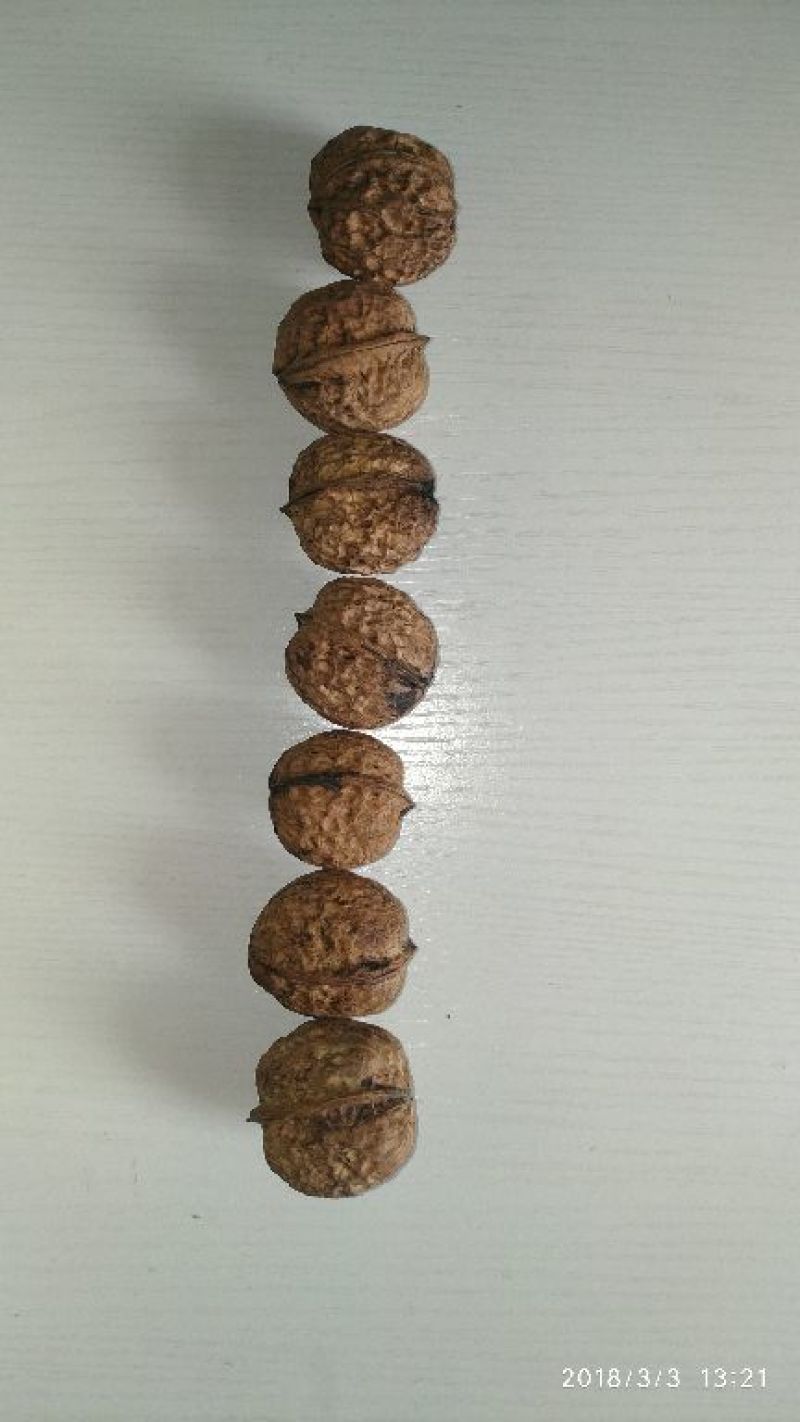 山核桃去皮25~30mm干