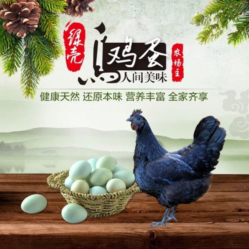 乌鸡蛋受精蛋绿壳五黑鸡种蛋受精蛋可孵化50g以下孵化