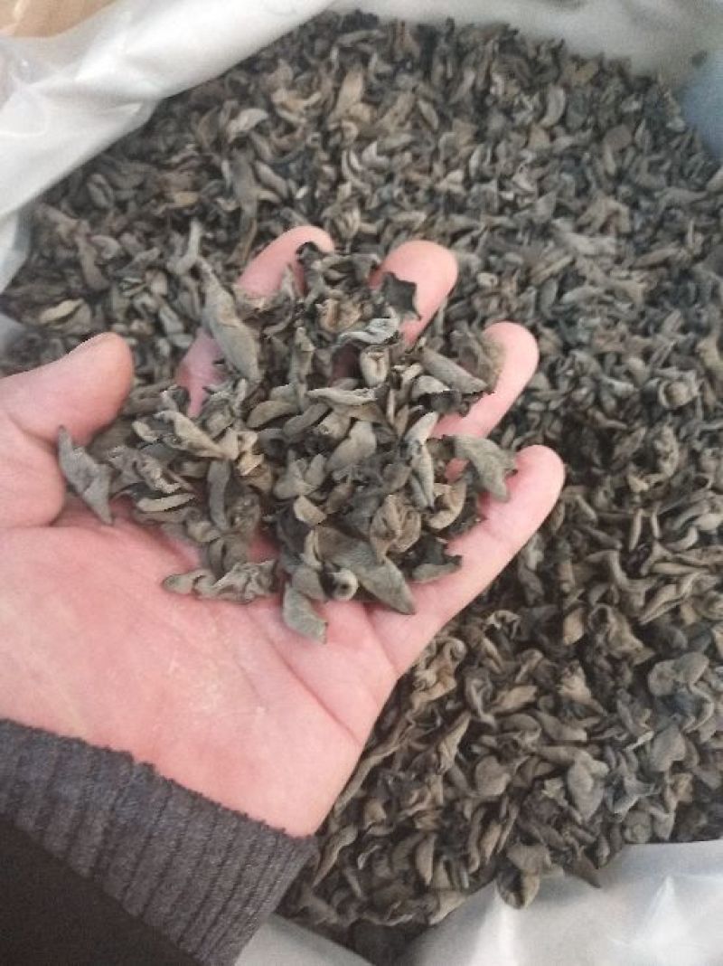 黑木耳一级