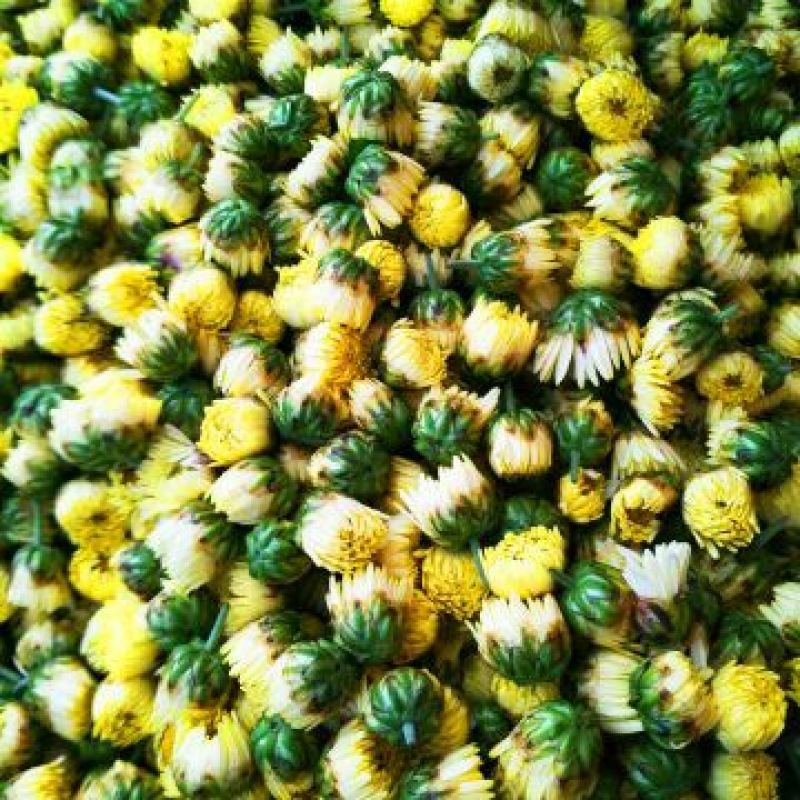 野菊花袋装