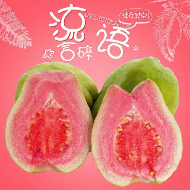 西瓜番石榴50~60mm红心