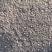 白色糯玉米16~20%