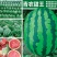 青农甜王真甜王糖度在13度以上几乎没有瓜蒌
