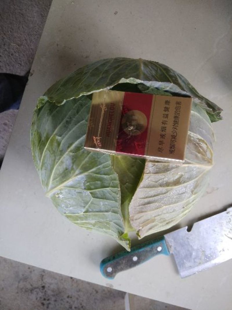 扁包菜甘蓝大白产地一手货源量大从优对接全国品种齐全