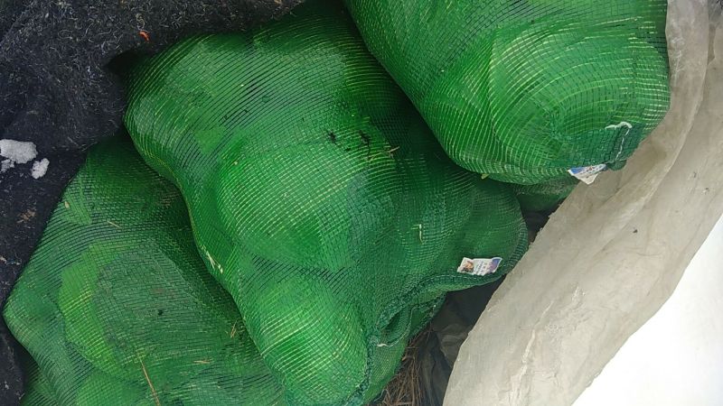 扁包菜甘蓝大白产地一手货源量大从优对接全国品种齐全