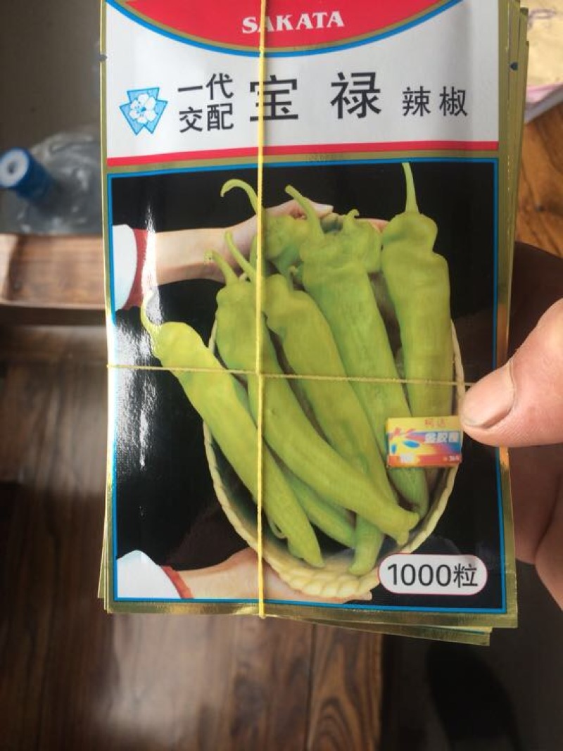 螺丝椒、大果拢椒王种苗、连续坐果率高辣椒苗