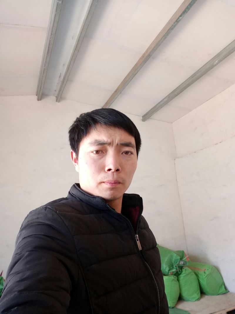绿豆粉皮散装手工粉皮