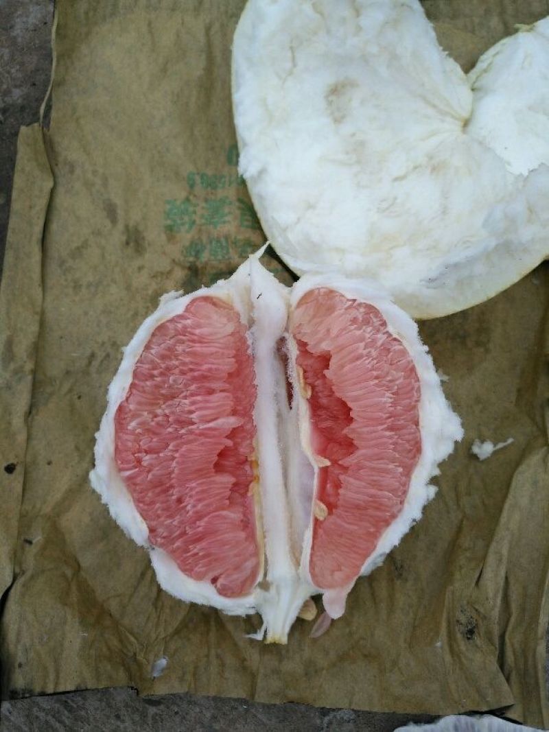 柚子树苗红心柚，红心蜜柚，个头大，肉红，口感佳