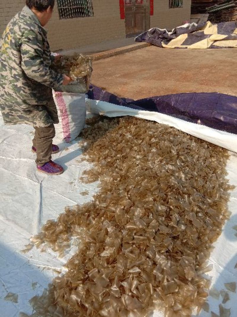 红薯粉条中粉