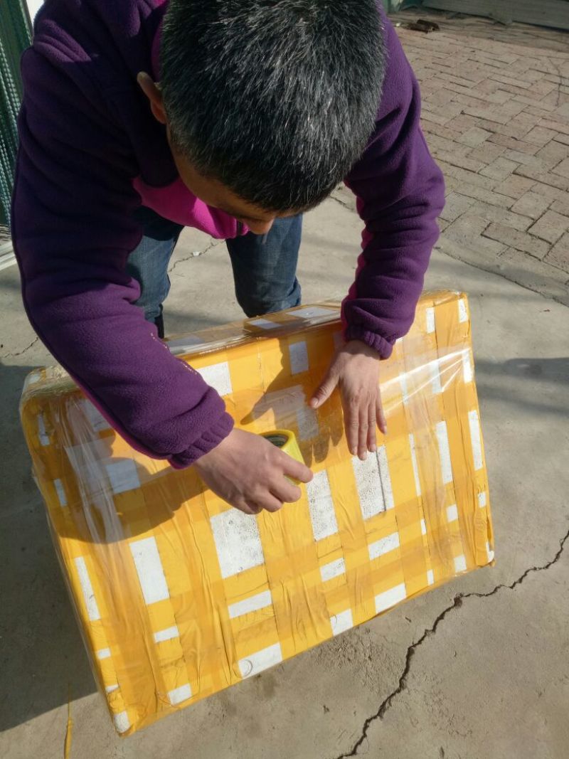 【推荐】盘锦优质蟹苗，无病蟹苗，，成活率高，产量高