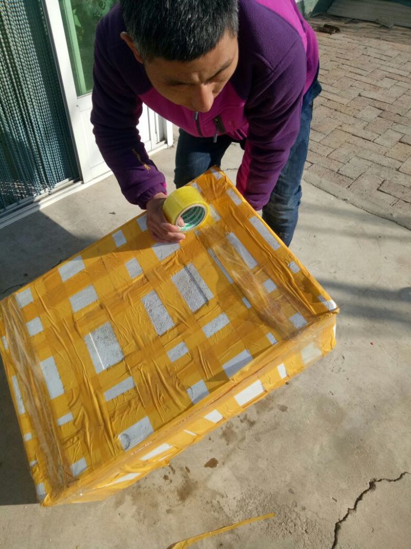 【推荐】盘锦优质蟹苗，无病蟹苗，，成活率高，产量高