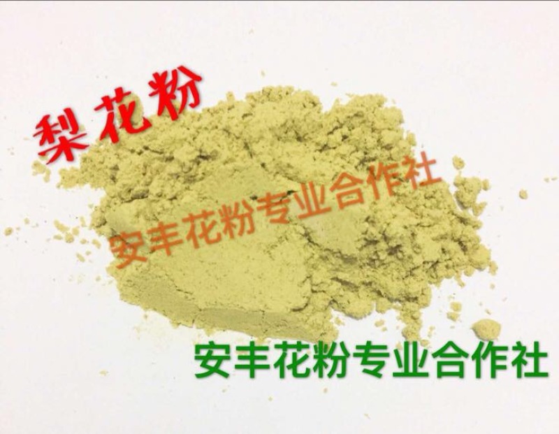 花粉李子花粉活性李子花粉