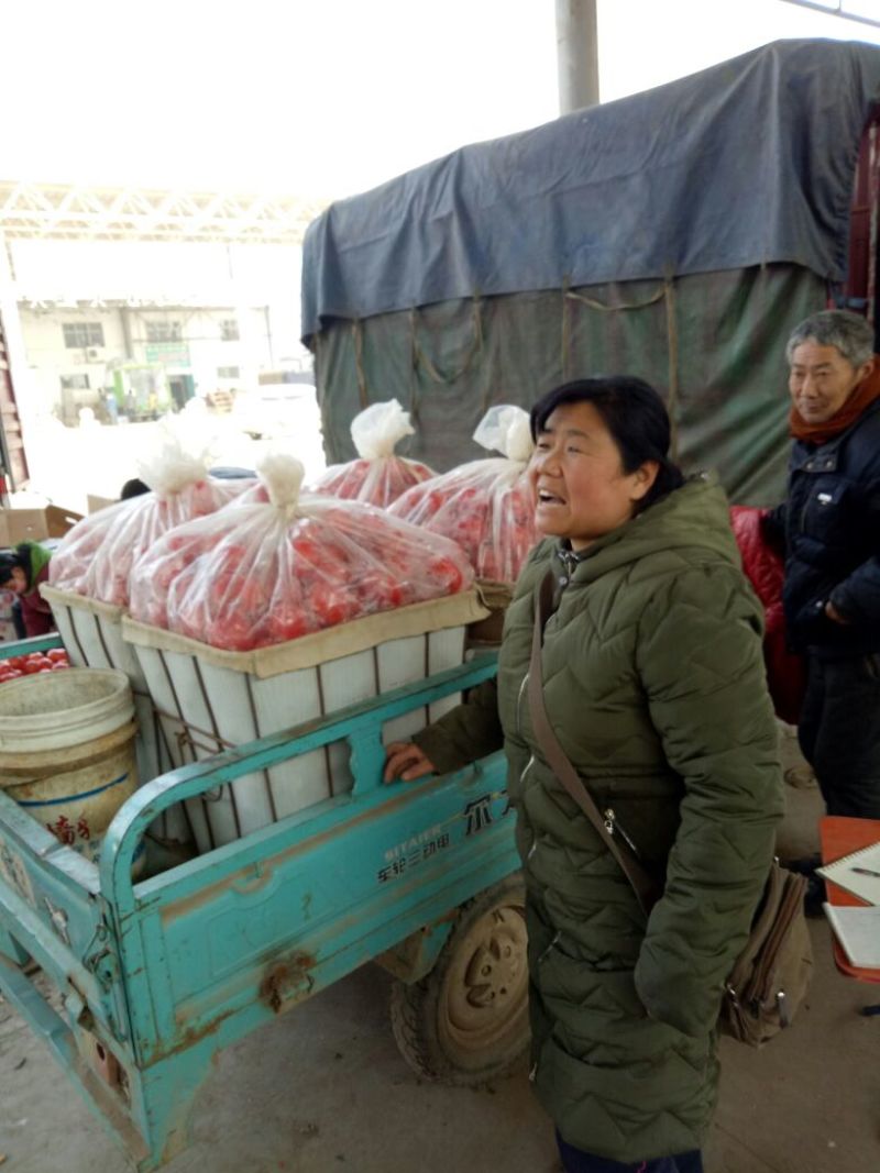 西红柿产地直供硬粉西红柿量大优惠欢迎联系可视频