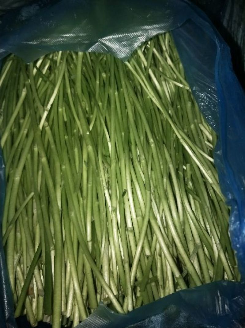 自产自销芦篙大量上市了