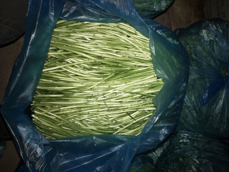 自产自销芦篙大量上市了