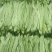 精品扁青芸豆鲜扁豆宽芸豆蔬菜产地直发条直20cm以上