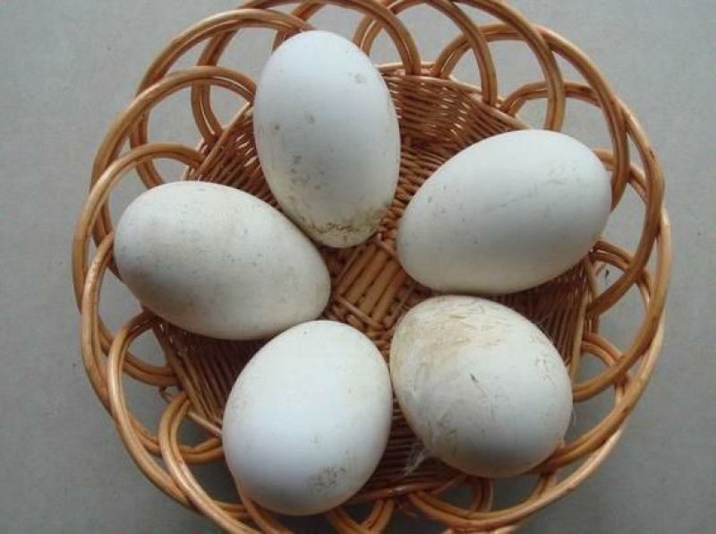 土鹅蛋食用