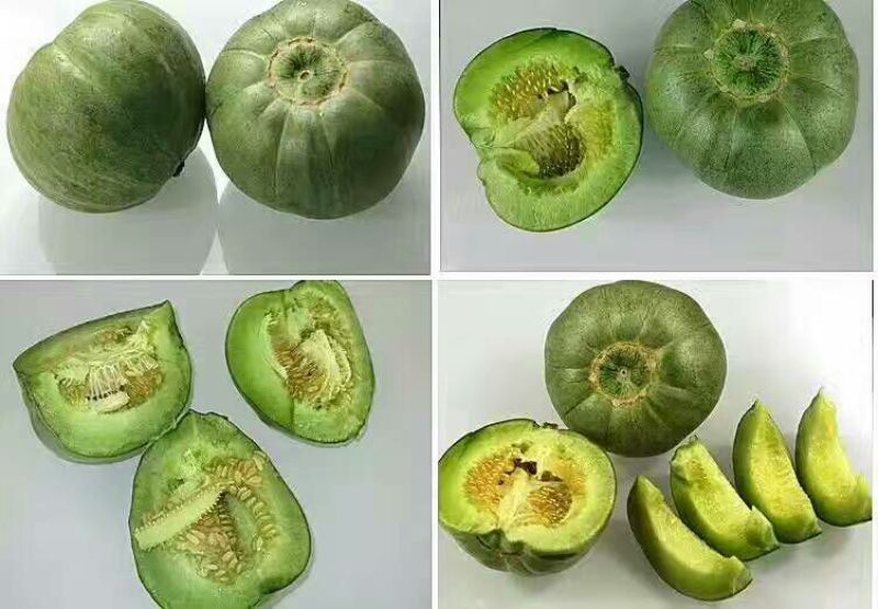 甜瓜，绿宝甜瓜已大量上市