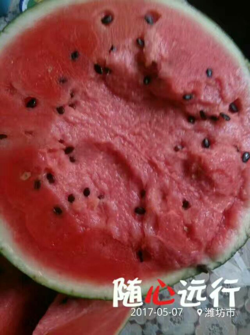 甜王西瓜大量上市，价格不高，保熟保甜保质量