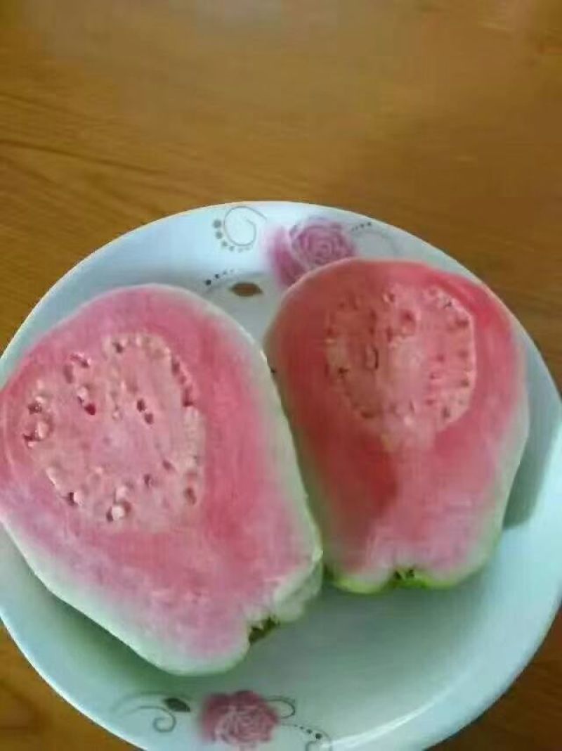西瓜番石榴苗30~50cm