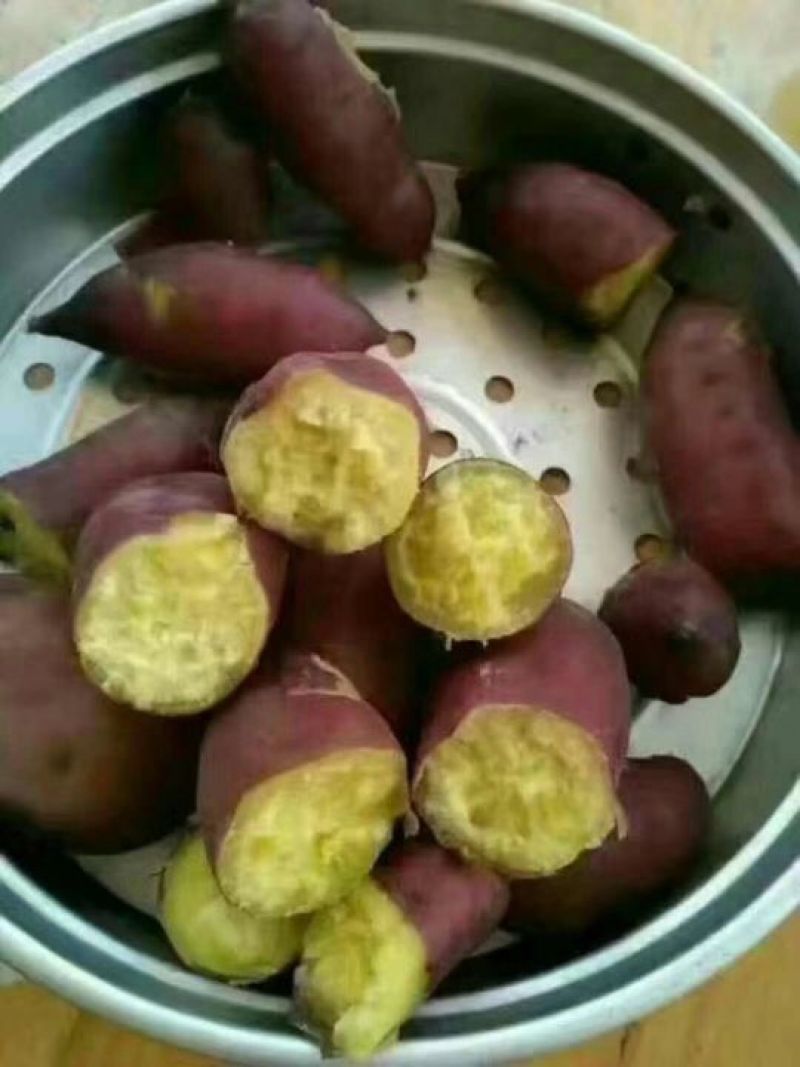 红薯黄心，中果，红皮