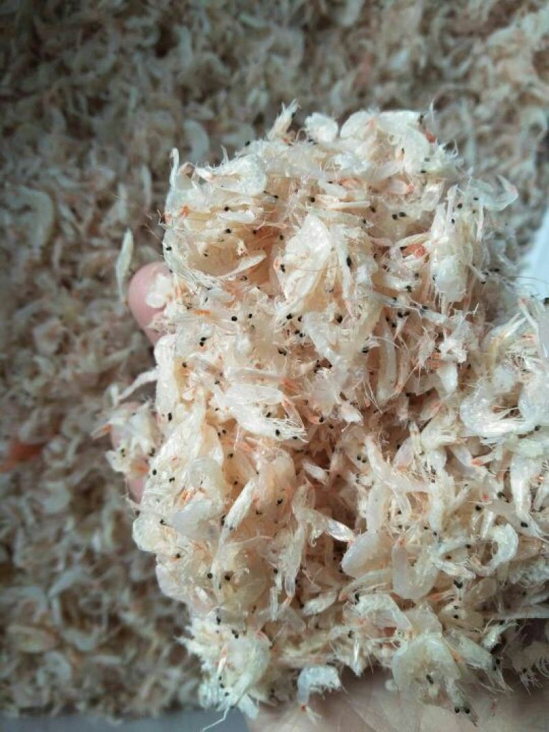 虾皮一级
