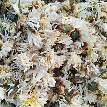 怀菊花散装