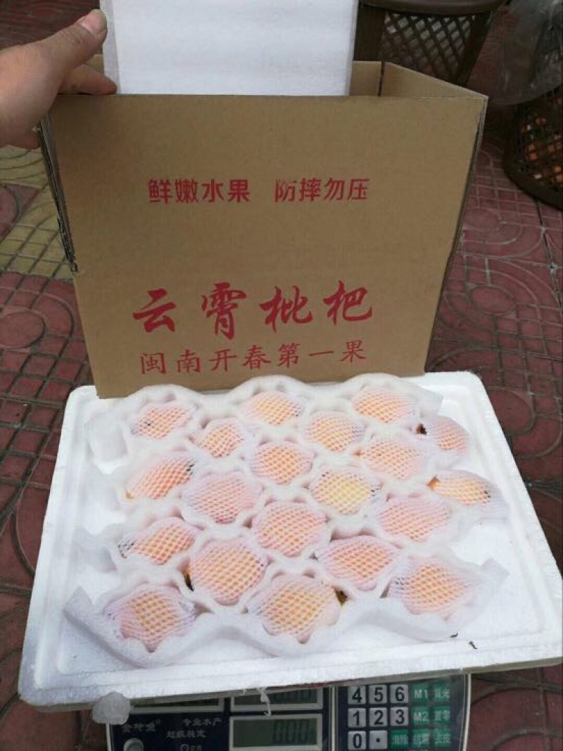 早中枇杷0.8两以上