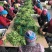 荷兰豆未饱满