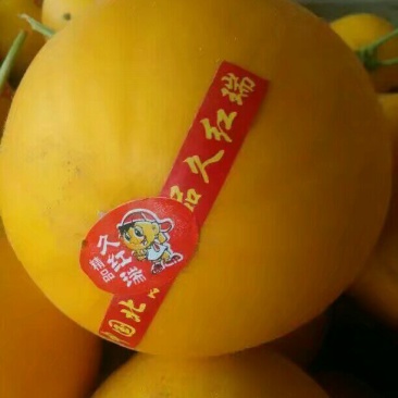 久红瑞甜瓜，货多量大价格便宜，货源充足