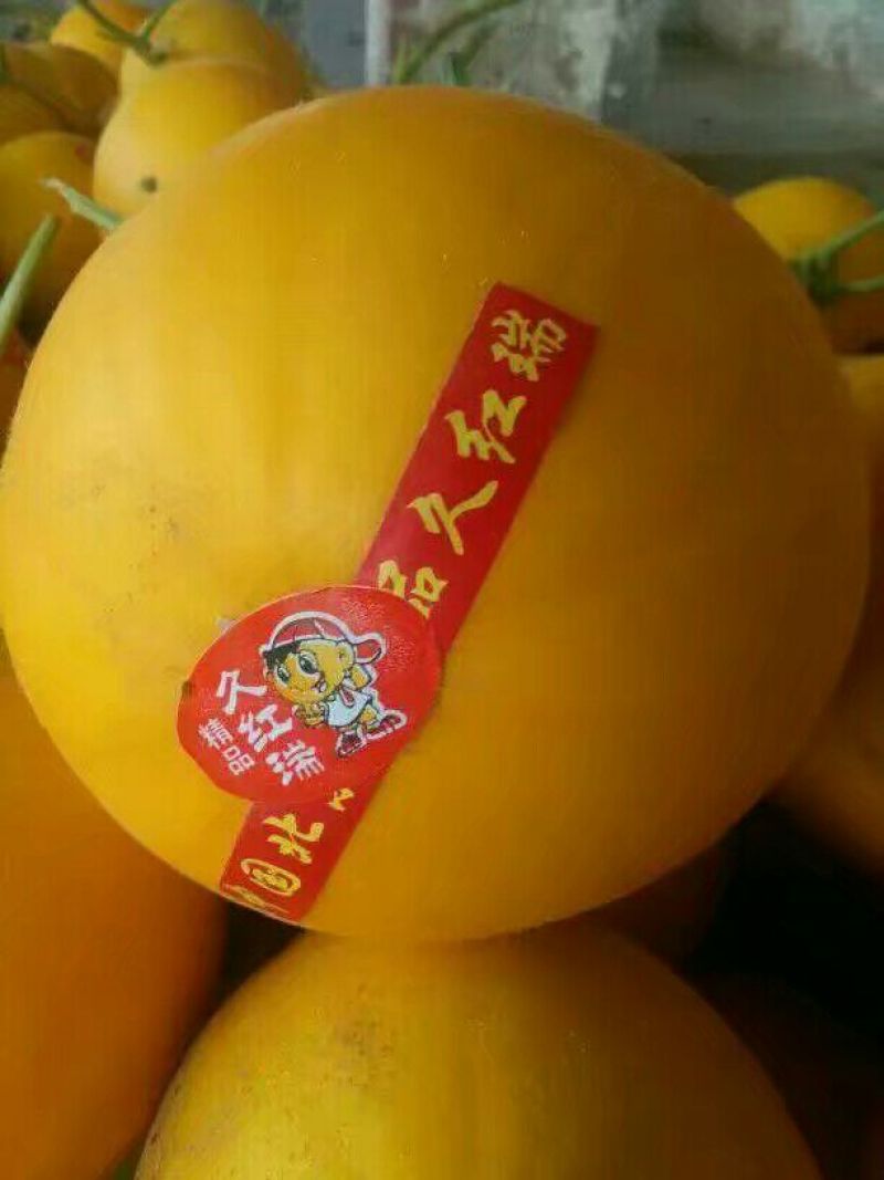 久红瑞甜瓜，货多量大价格便宜，货源充足