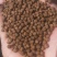 小龙虾饲料6个月