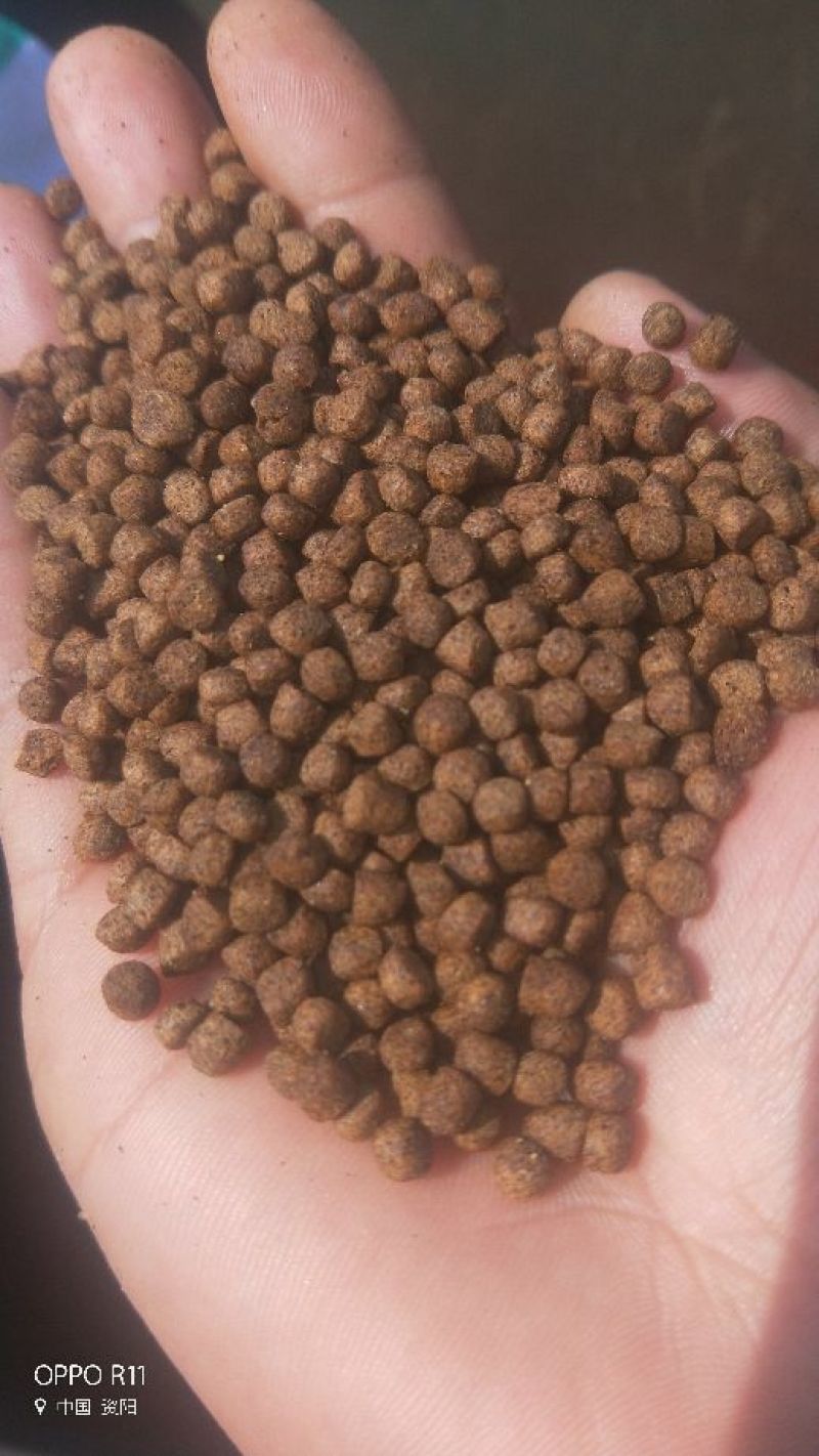 小龙虾饲料6个月