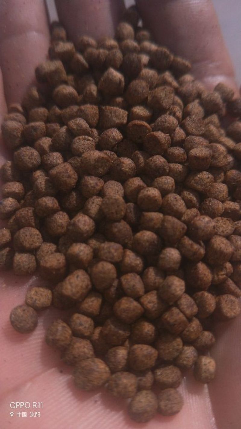 小龙虾饲料6个月