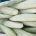 羊角蜜甜瓜大量供应对接电商商超。口脆甜。