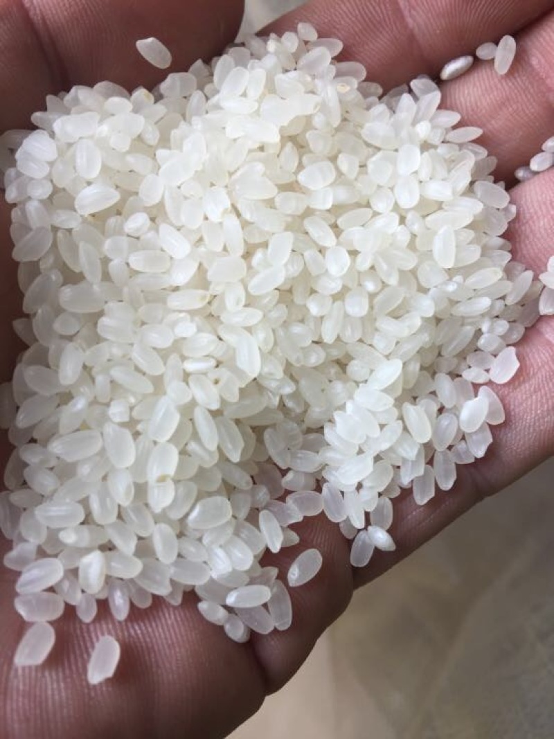原阳大米特级