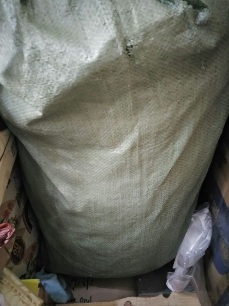 薄皮核桃去皮40mm以上干