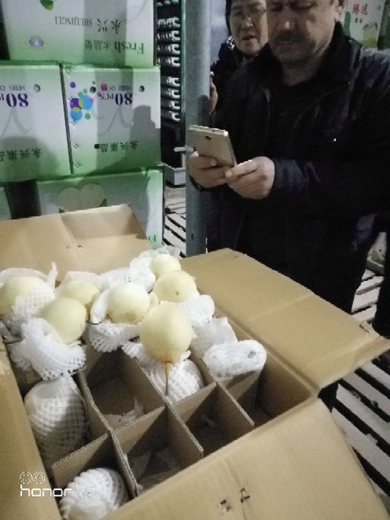 水晶鸭梨口感酸甜口皮薄肉丝四季供应各种型号