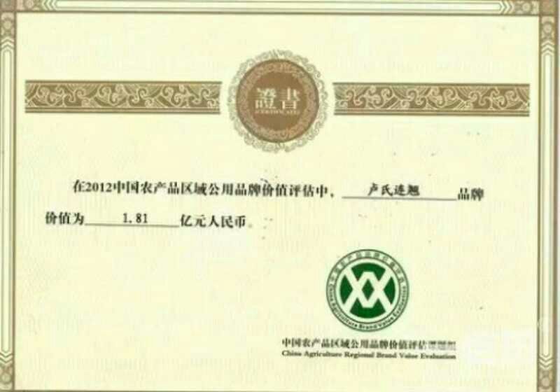 高产连翘苗50~60cm