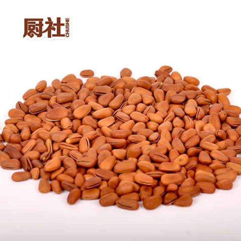 东北松子三级