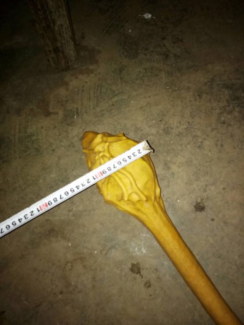 葫芦天然葫芦产地直供葫型佳弥勒葫芦批发