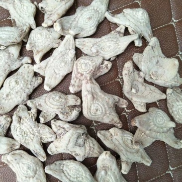 三叉白芨选货干货