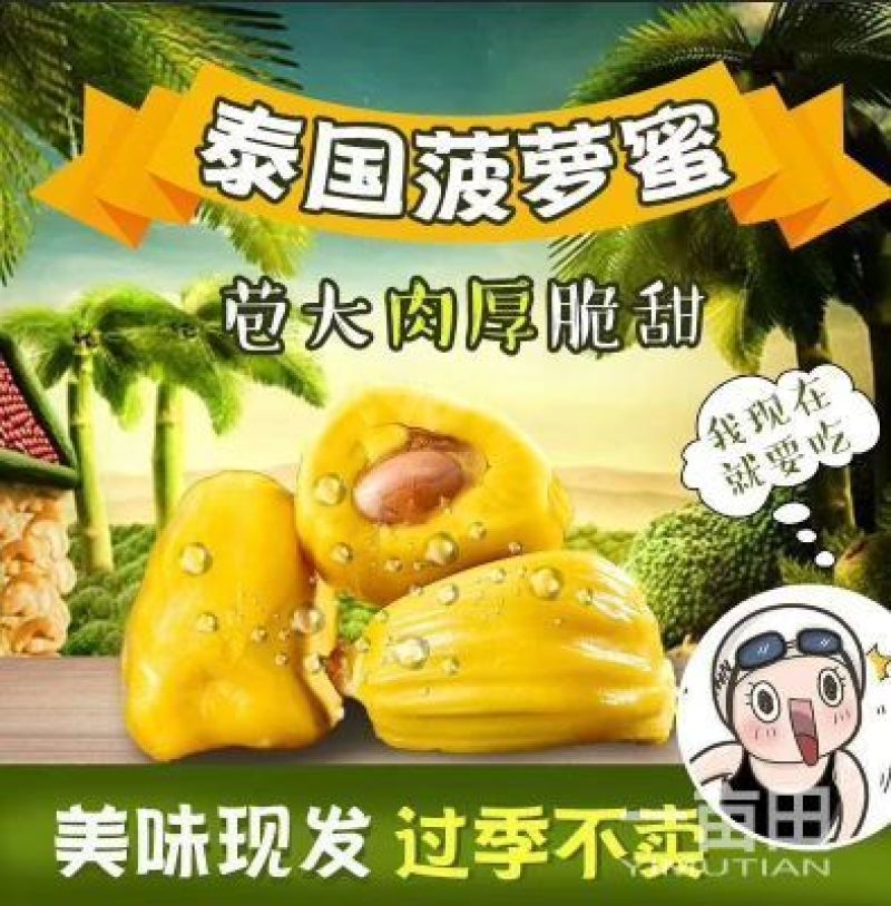 菠萝蜜14-17斤（招代理）平台接单中