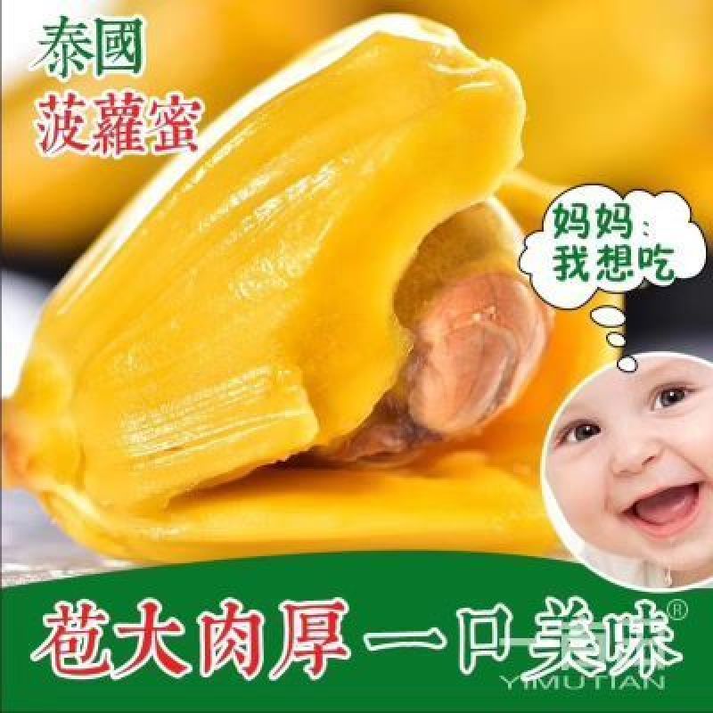 菠萝蜜14-17斤（招代理）平台接单中