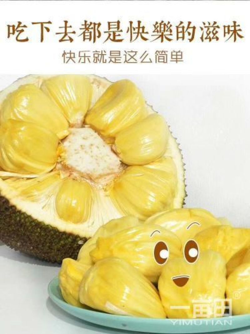 菠萝蜜14-17斤（招代理）平台接单中