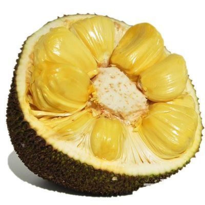 菠萝蜜14-17斤（招代理）平台接单中