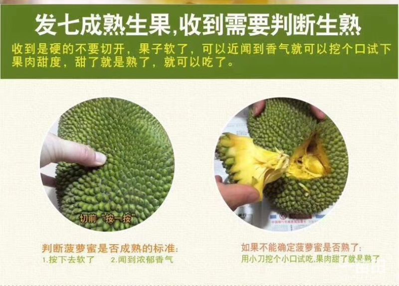 菠萝蜜14-17斤（招代理）平台接单中