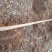 国槐6~8cm4~6cm1~2米