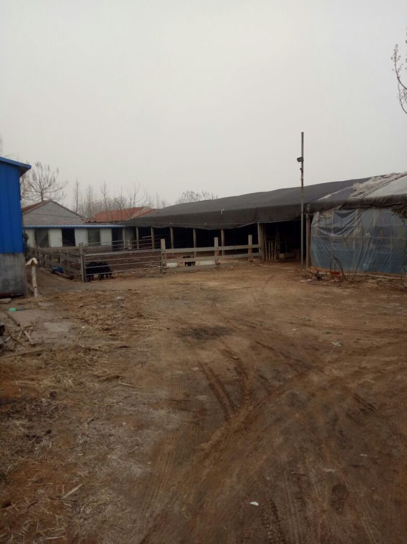 畜牧养殖用地10亩以下10~30年出租