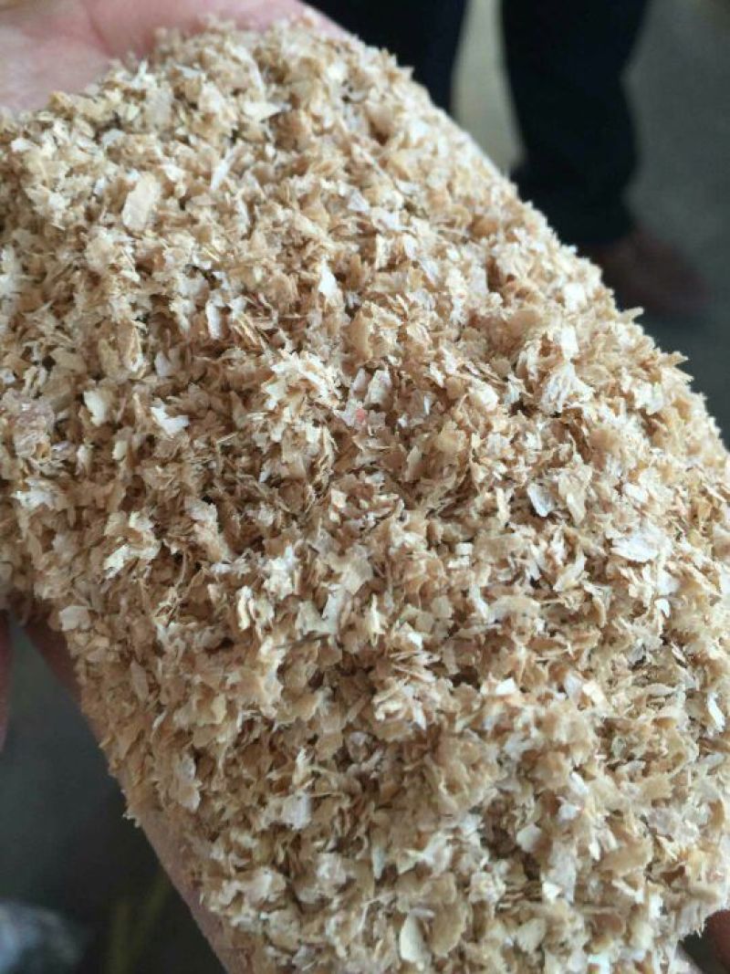 麦麸饲料